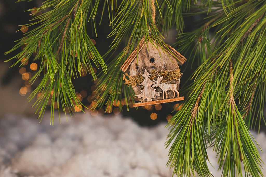 Foute kersttruien